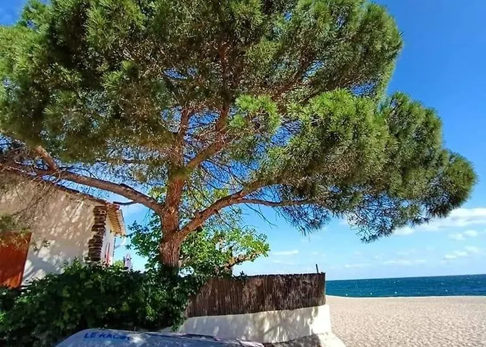 T2 Avec Terrasse A 500m De La - Piscine, Tennis, Parking Prive - - Fr-1-776-40 Apartment *