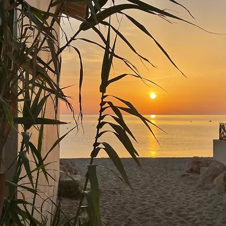 Appartement T2 Avec Terrasse à 500m De La - Piscine, Tennis, Parking Privé - Argelès-sur-mer - Fr-1-776-40