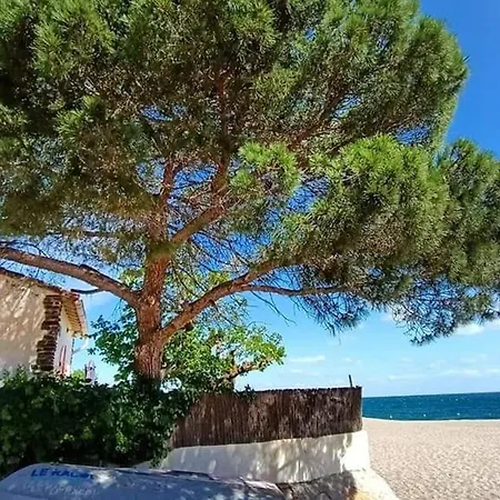 T2 Avec Terrasse à 500m De La - Piscine, Tennis, Parking Privé - Argelès-sur-mer - Fr-1-776-40 Appartement *